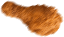 Frango frito